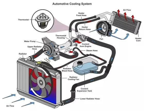 Automotive cooling system