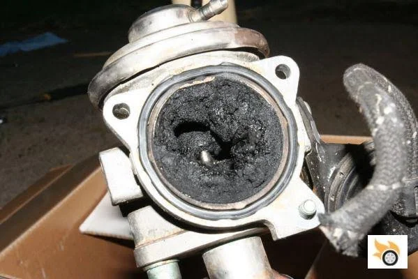 Purpose and roles of EGR