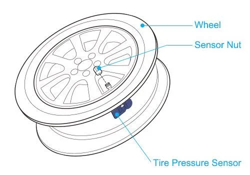 Resetting the TPMS Light: Brand-Specific How-To