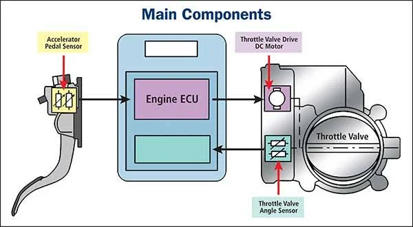 How Does an Accelerator Pedal Sensor Work?