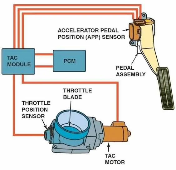 The Importance of Accelerator Pedal Sensors for Vehicle Safety and Performance