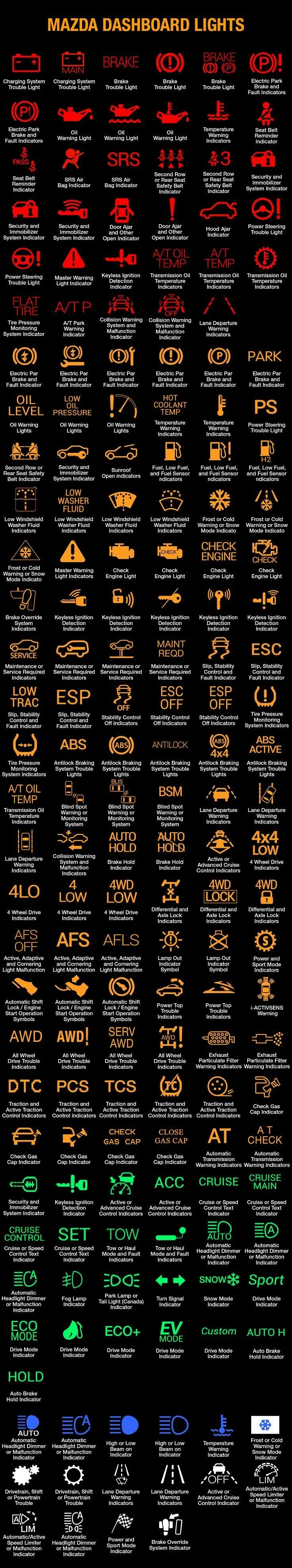 Electric Power Steering (EPS) Light Electric Power Steering (EPS) Light