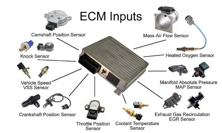 ECU inputs and outputs