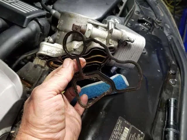 Engine Oil Leak Areas: Oil Cooler Engine Oil Leak Areas: Oil Cooler