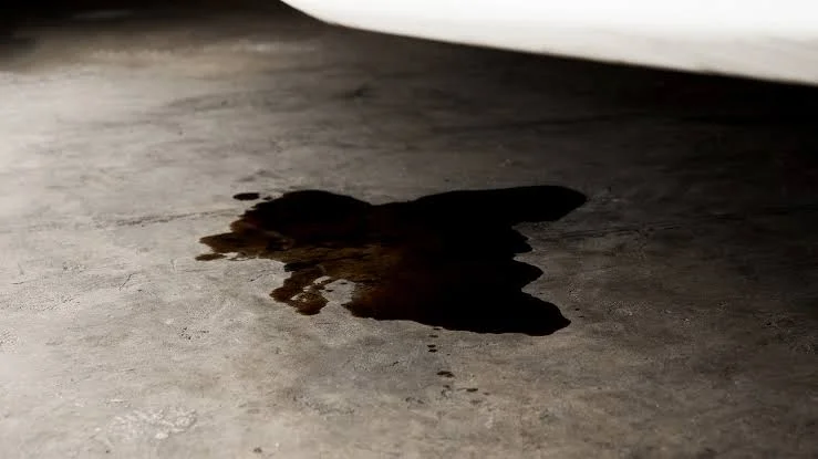 Most common causes of low oil levels and noises are Most common causes of low oil levels and noises are