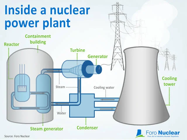 Ensuring Safety and Excellence: The Work of Experienced Nuclear Power Professionals