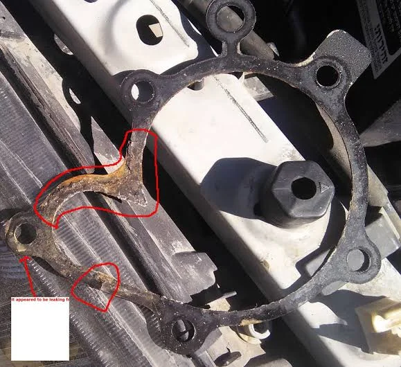 How to Know If You Have a Water Pump Leak