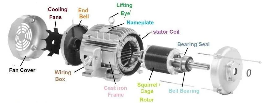Squirrel cage induction motor
