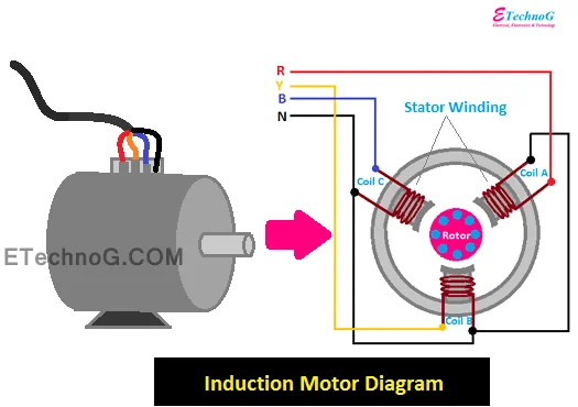 Working Principle of Induction Motor