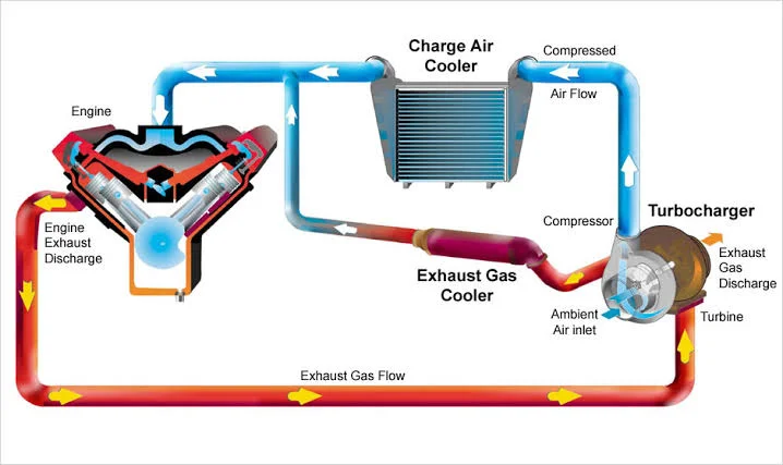 The Importance of Cooling Down The Importance of Cooling Down