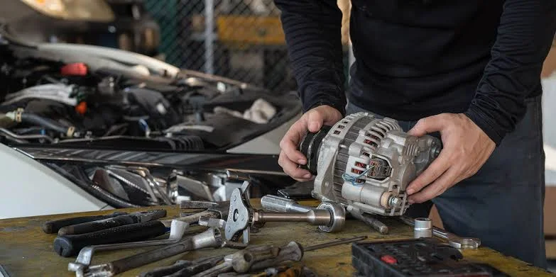 Maintenance Tips for a Long Life