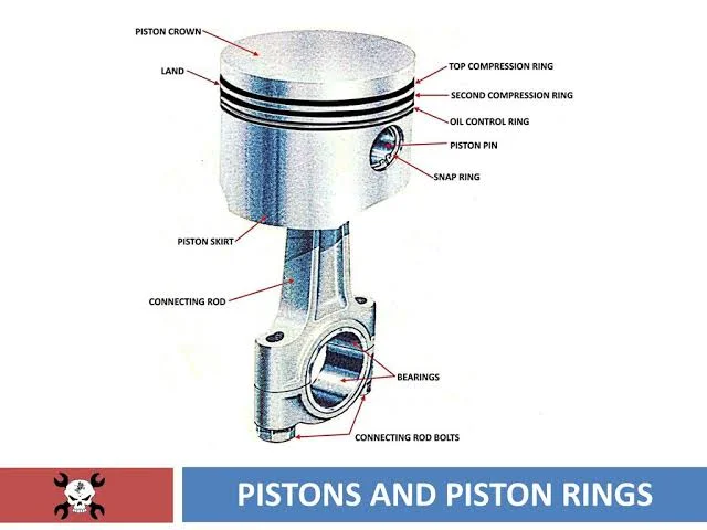 Where are piston rings located?