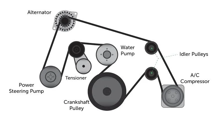 What is a Serpentine Belt? What is a Serpentine Belt?