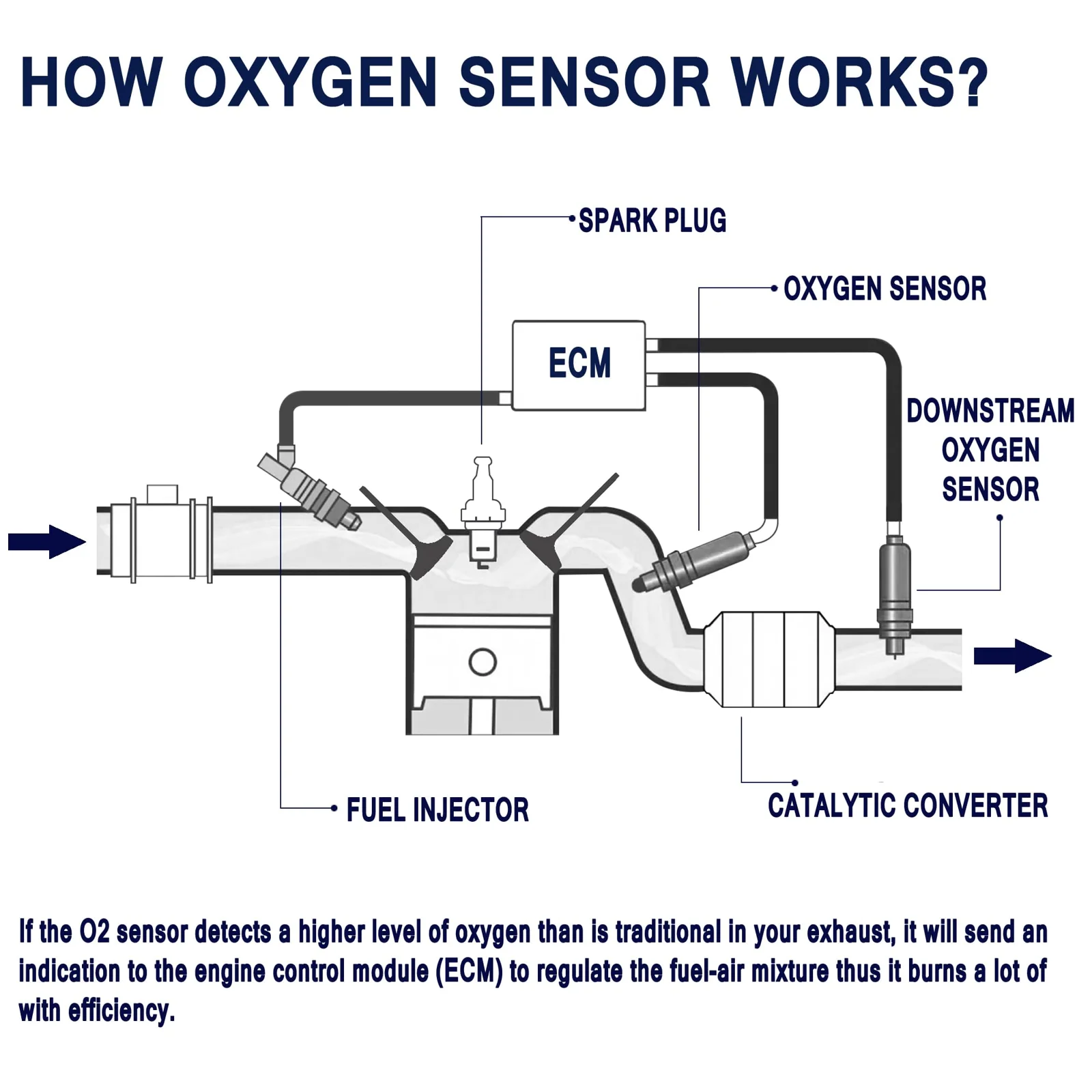 How Oxygen Sensors Work