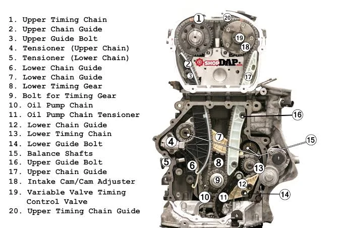 The Purpose of Timing Chains