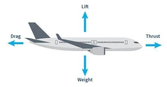 The Science of Flight: How Aircraft Stay in the Air