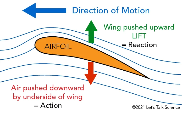 Lift: The Upward Force
