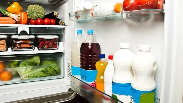 Troubleshooting Your Refrigerator: A Comprehensive Guide