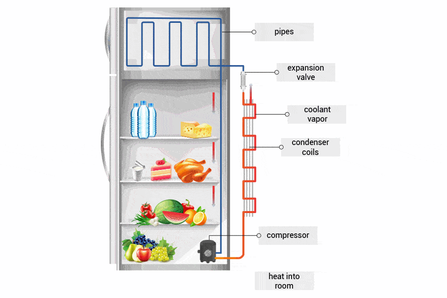 Troubleshooting Your Refrigerator: Fridge Freezing Food