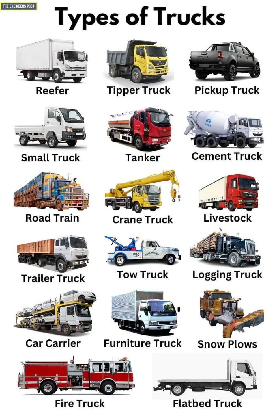 Trucks of All Trades: Understanding the World of Trucks and Their Specialized Applications