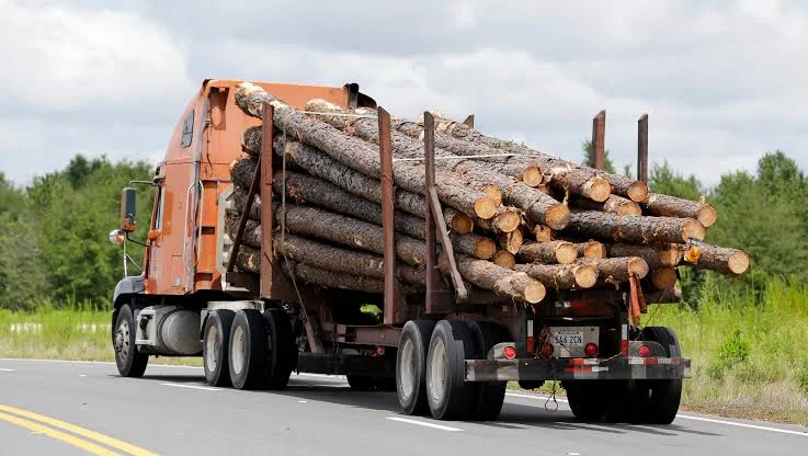 Logging Trucks: Navigating Challenging Terrain to Transport Logs