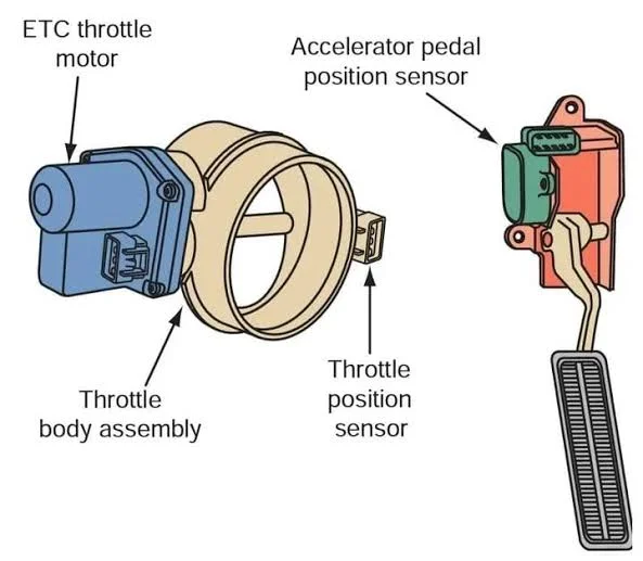Throttle Position Sensor (TPS) Throttle Position Sensor (TPS)