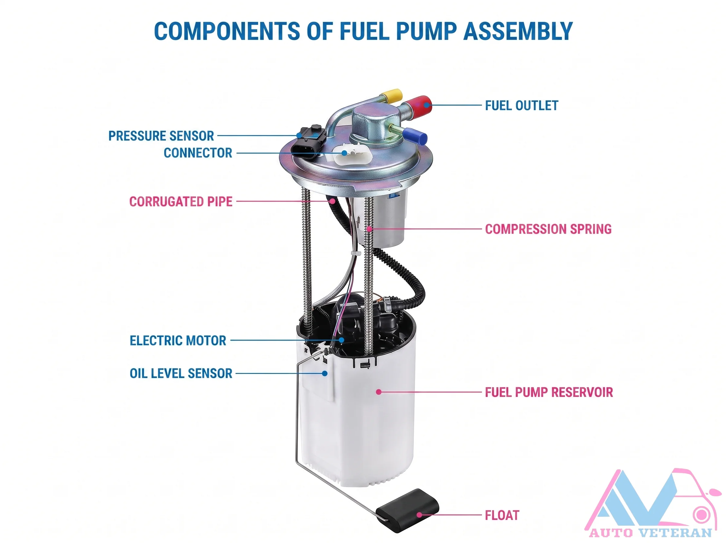 Fuel Pump Assembly Components