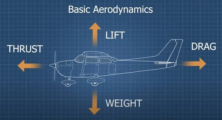 The Science of Flight: How Aircraft Stay in the Air