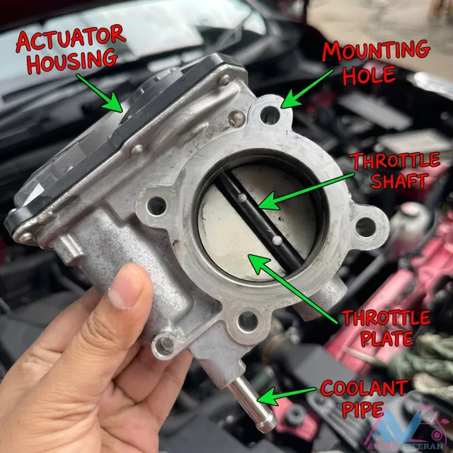 Throttle Body Actuator Mounting and Coolant Pipe